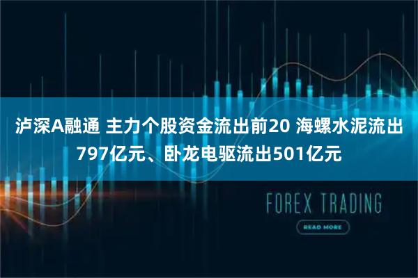 泸深A融通 主力个股资金流出前20 海螺水泥流出797亿元、卧龙电驱流出501亿元